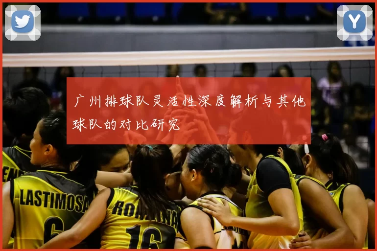 广州排球队灵活性深度解析与其他球队的对比研究