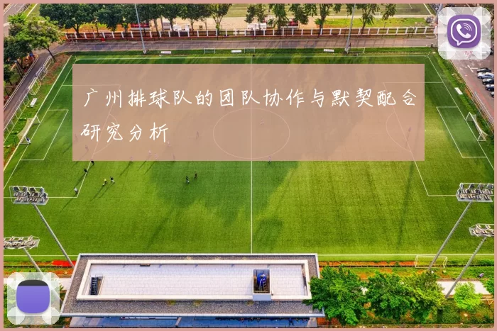 广州排球队的团队协作与默契配合研究分析