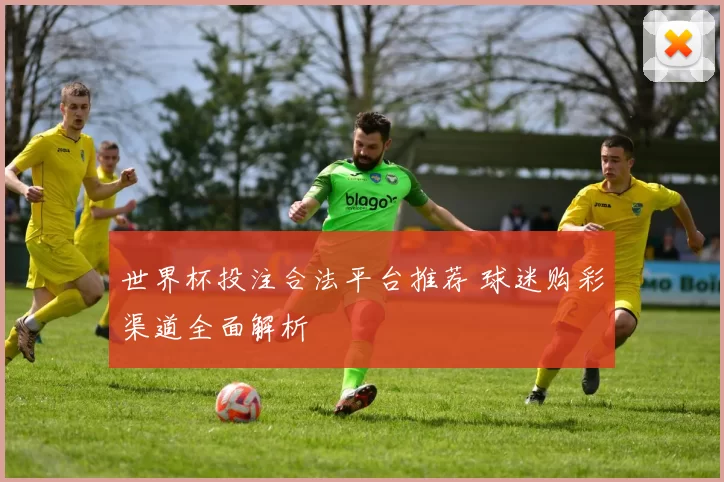 世界杯投注合法平台推荐 球迷购彩渠道全面解析