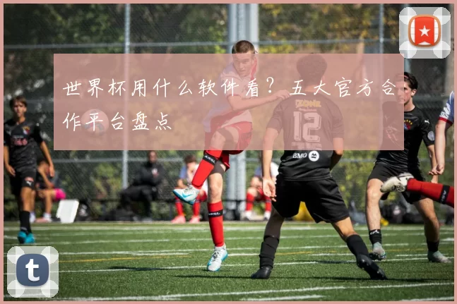 世界杯用什么软件看?五大官方合作平台盘点