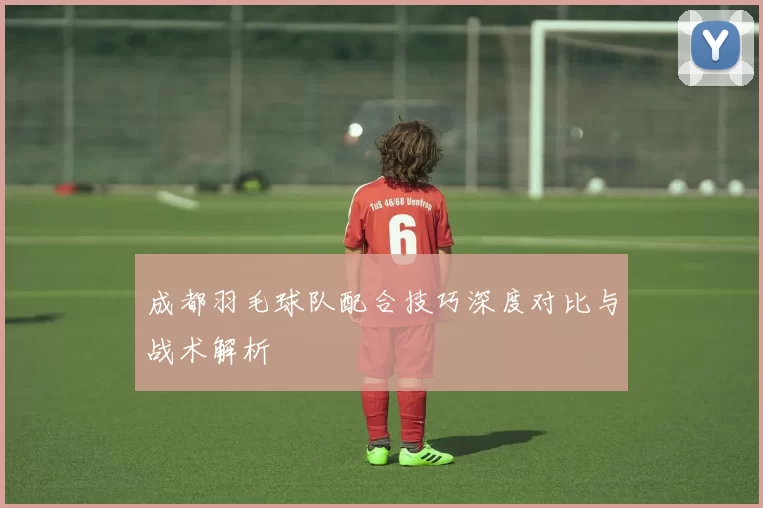 成都羽毛球队配合技巧深度对比与战术解析