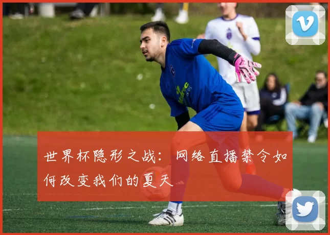 世界杯隐形之战:网络直播禁令如何改变我们的夏天