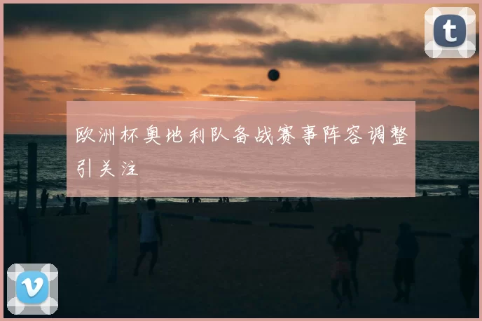 欧洲杯奥地利队备战赛事阵容调整引关注