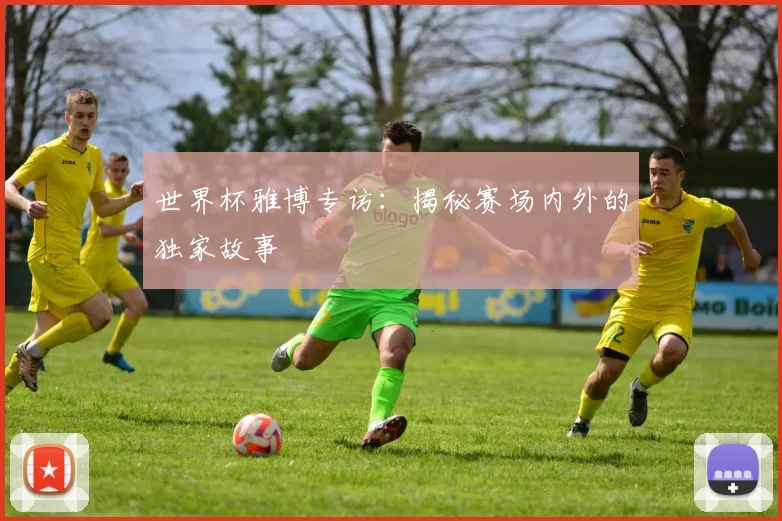 世界杯雅博专访:揭秘赛场内外的独家故事