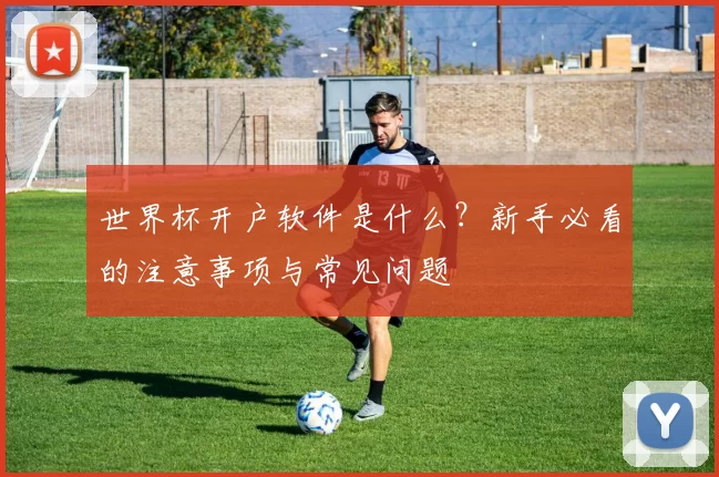 世界杯开户软件是什么?新手必看的注意事项与常见问题