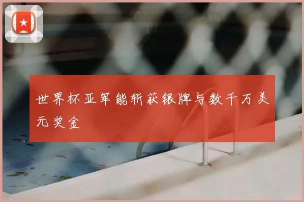 世界杯亚军能斩获银牌与数千万美元奖金