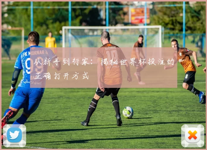 从新手到行家:揭秘世界杯投注的正确打开方式