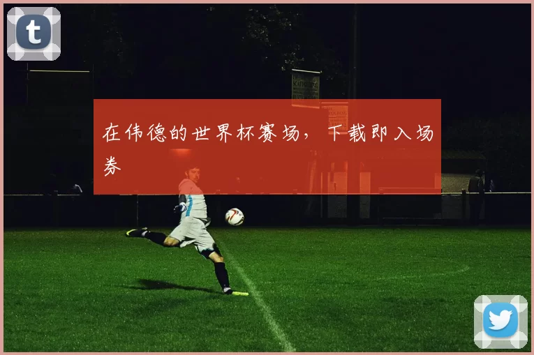 在伟德的世界杯赛场,下载即入场券