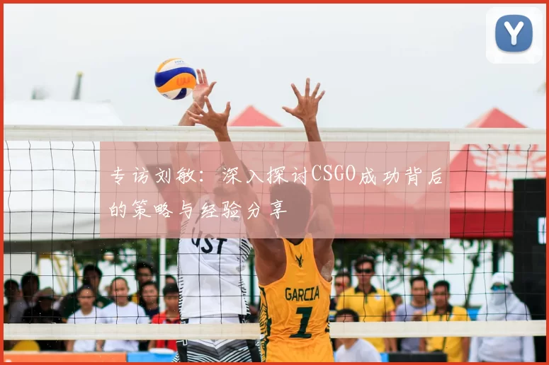 专访刘敏:深入探讨CSGO成功背后的策略与经验分享