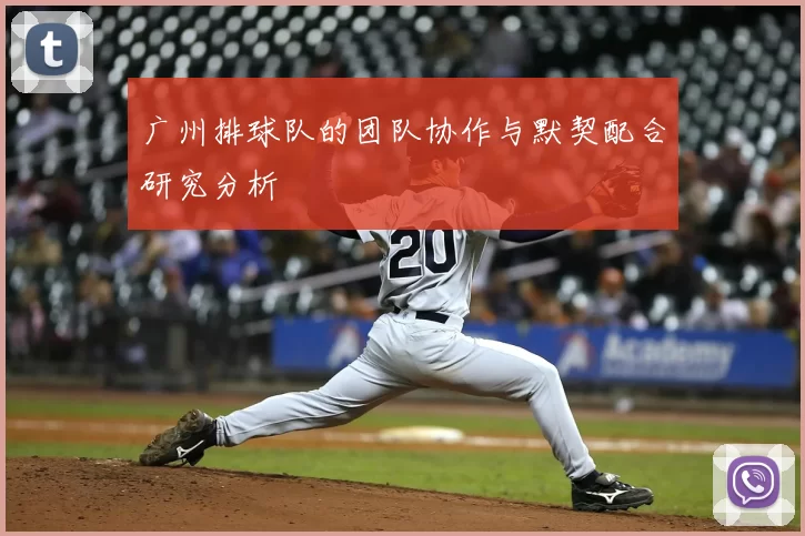 广州排球队的团队协作与默契配合研究分析