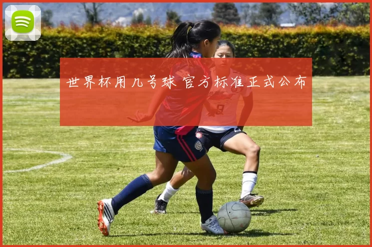 世界杯用几号球 官方标准正式公布