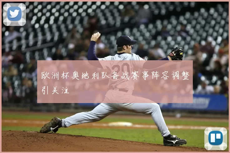 欧洲杯奥地利队备战赛事阵容调整引关注