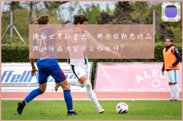 揭秘世界杯金主：那些你熟悉的品牌如何成为官方合作伙伴？