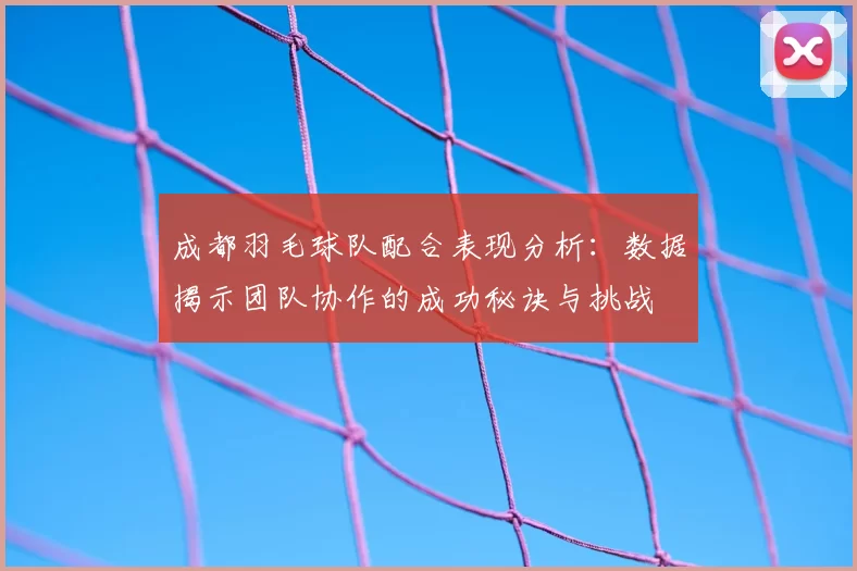 成都羽毛球队配合表现分析:数据揭示团队协作的成功秘诀与挑战