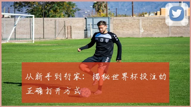 从新手到行家:揭秘世界杯投注的正确打开方式