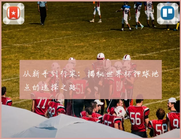 从新手到行家:揭秘世界杯押球地点的选择之路