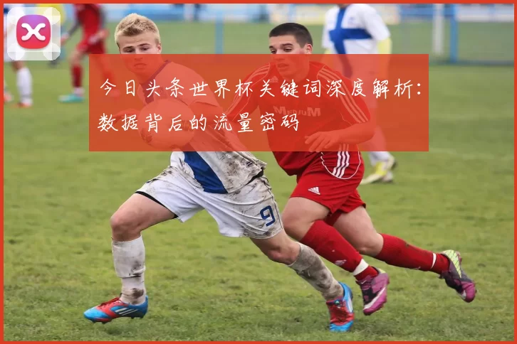 今日头条世界杯关键词深度解析:数据背后的流量密码