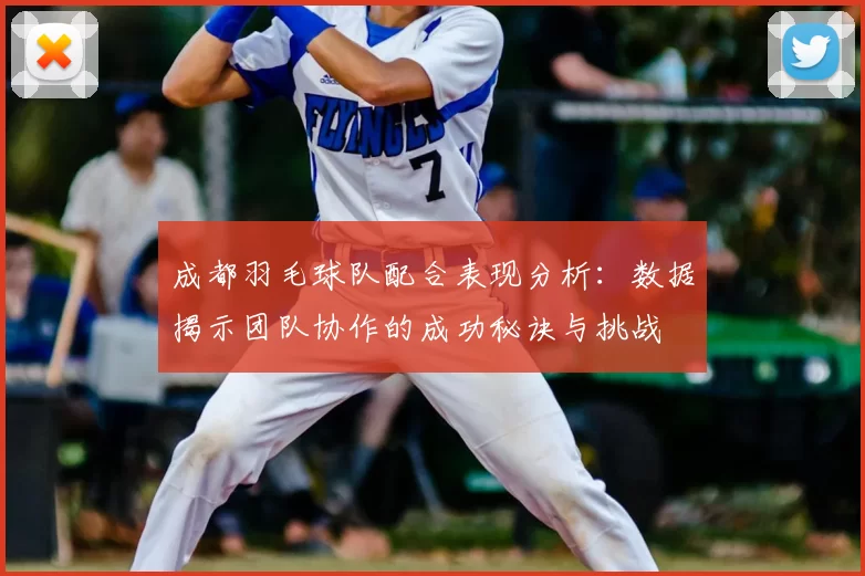 成都羽毛球队配合表现分析:数据揭示团队协作的成功秘诀与挑战