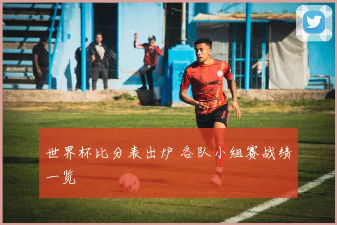 世界杯比分表出炉 各队小组赛战绩一览
