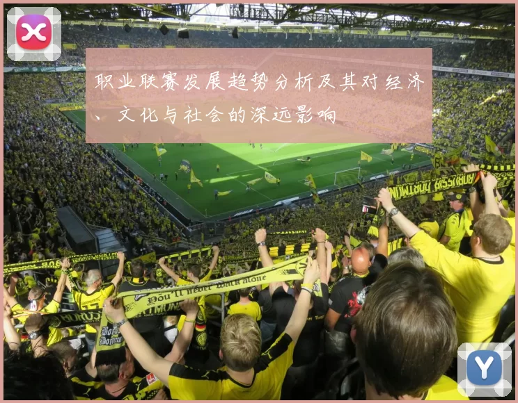 职业联赛发展趋势分析及其对经济、文化与社会的深远影响